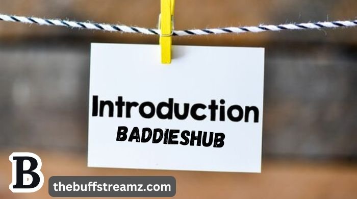 Introduction to Baddieshub